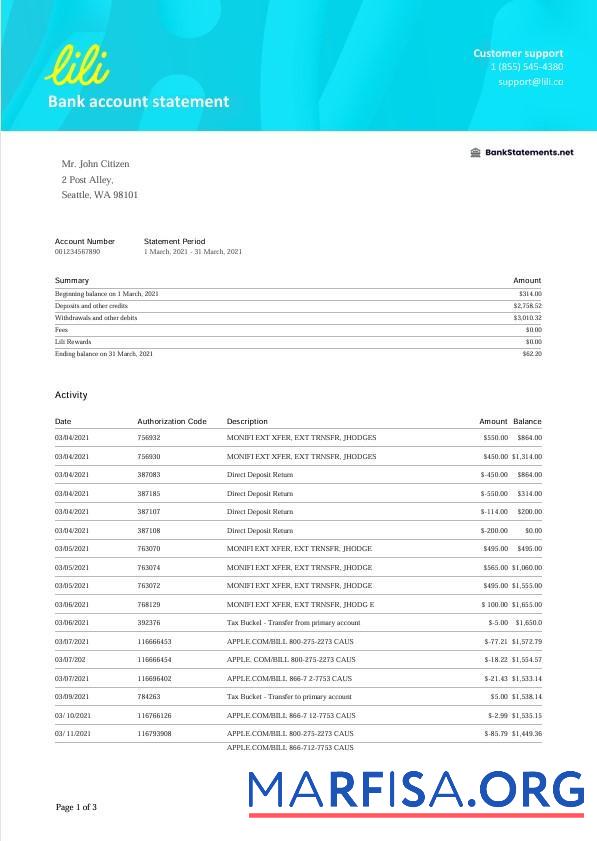 Downloadable USA Lili bank statement word download for verification